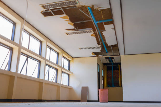 Best Flood damage cleanup  in Trion, GA