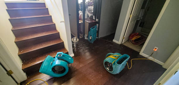 Best Professional water damage repair  in Trion, GA