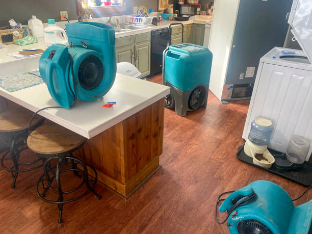 Best Basement water damage restoration  in Trion, GA