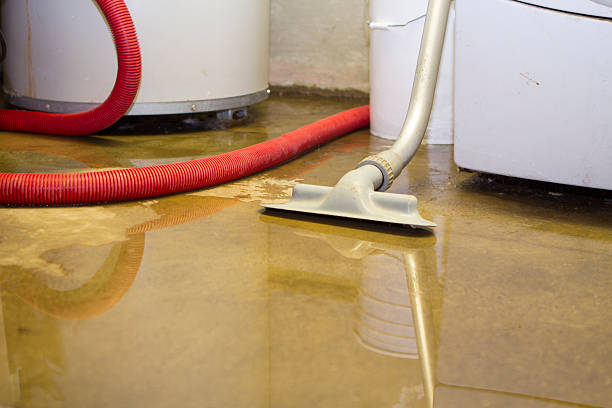 Best Fire Damage Restoration  in Trion, GA