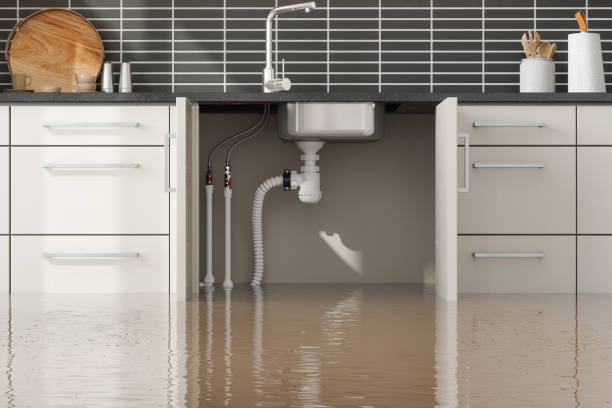  Trion, GA Water damage restoration Pros
