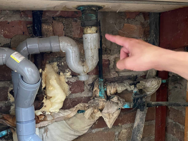 Best Professional water damage repair  in Trion, GA