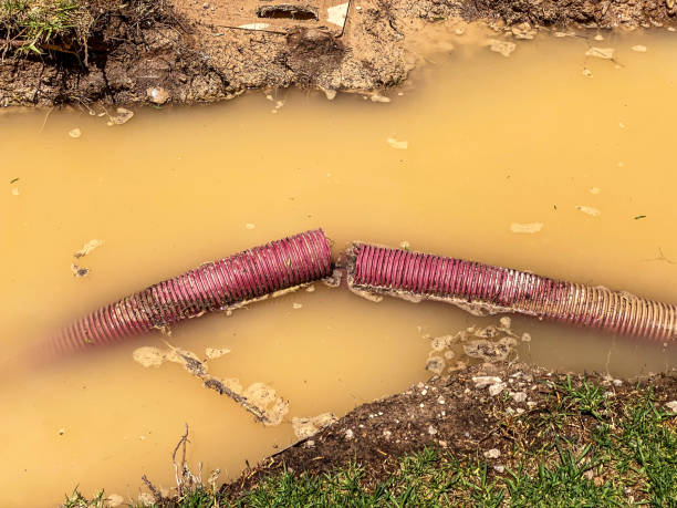 Best Water damage restoration specialists  in Trion, GA