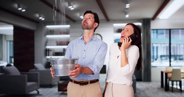 Best Fire Damage Restoration  in Trion, GA