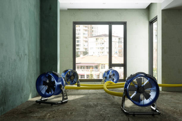 Best Water damage restoration near me  in Trion, GA