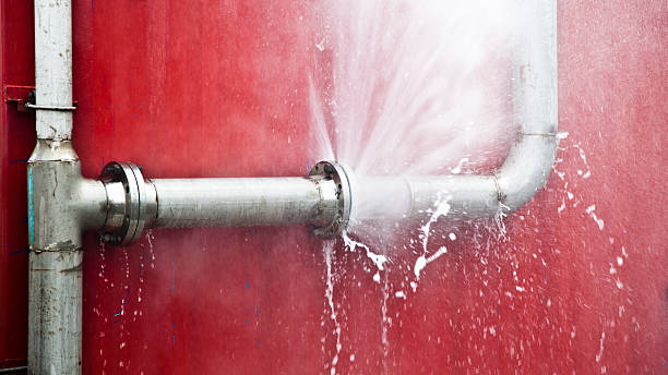 Best Flood restoration services  in Trion, GA