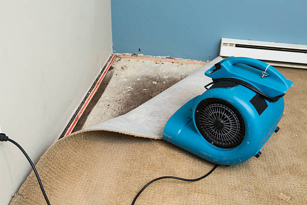 Best Water damage restoration company  in Trion, GA